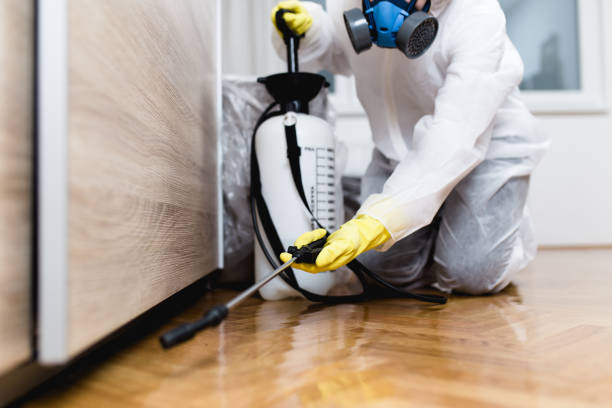 Best Pest Prevention Services  in Castle Pines, CO