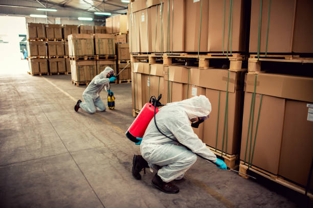 Best Ant Control Services  in Castle Pines, CO