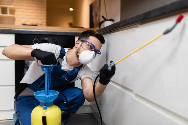 Best Commercial Pest Control Services  in Castle Pines, CO