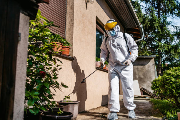 Best Commercial Pest Control Services  in Castle Pines, CO
