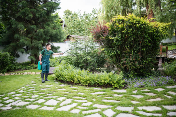 Best Pest Inspection Near Me  in Castle Pines, CO