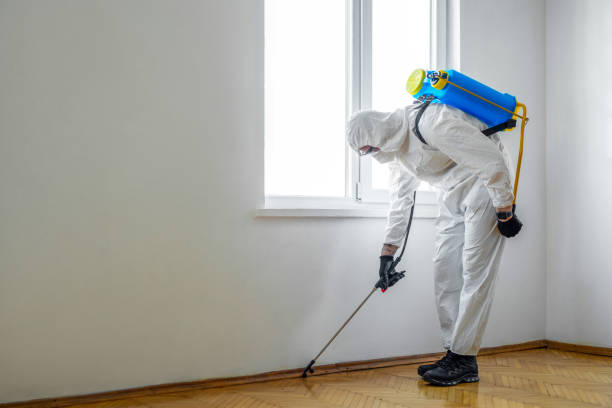 Best Pest Control Treatment  in Castle Pines, CO