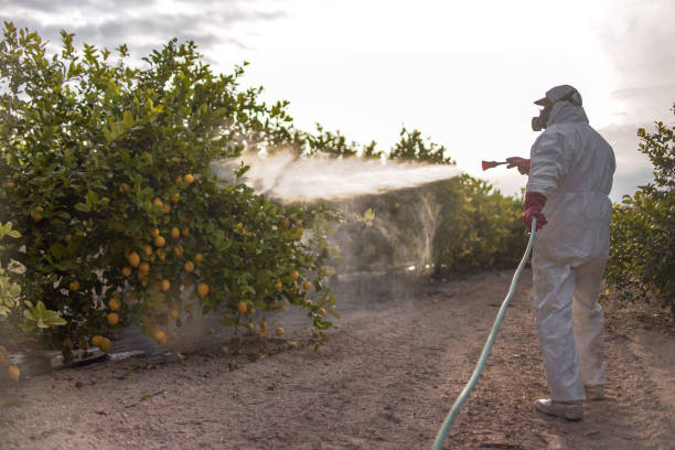 Best Residential Pest Control  in Castle Pines, CO