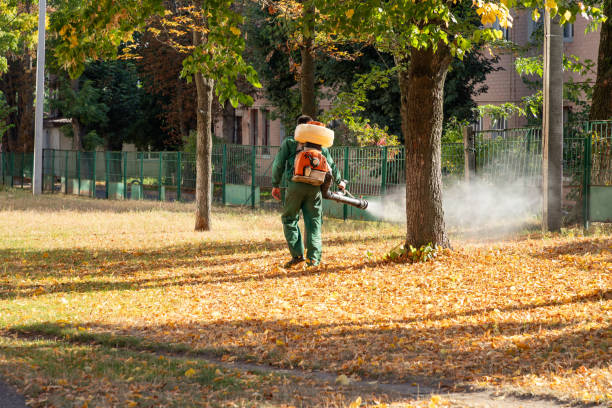 Wildlife Control Services in Castle Pines, CO