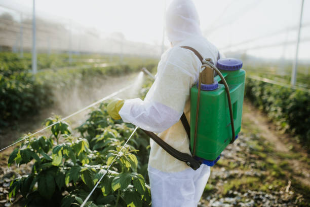 Best Bed Bug Extermination  in Castle Pines, CO